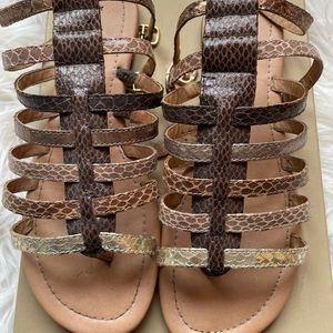 Gladiator Sandals